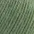 4020 - verde pálido